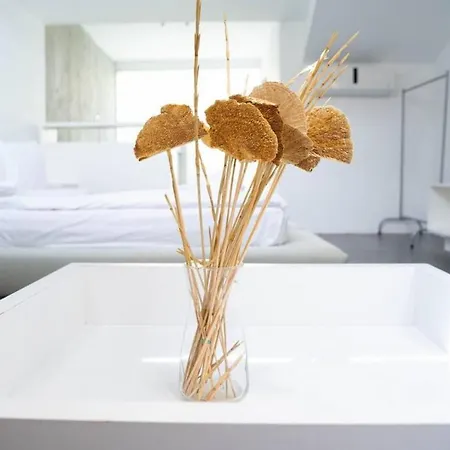 Sleek And Duplex House In Beyoglu Lägenhet