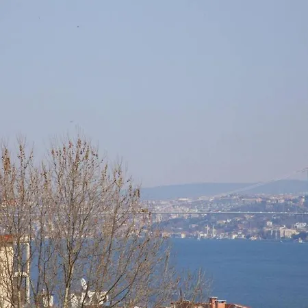 Sleek And Duplex House In Beyoglu イスタンブール